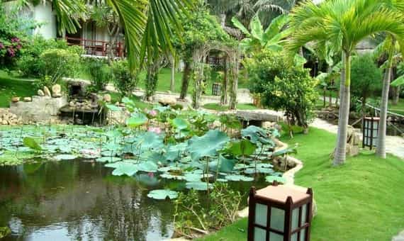 The Pegasus Resort The Pegasus Resort