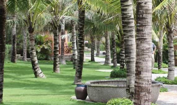 The Pegasus Resort The Pegasus Resort