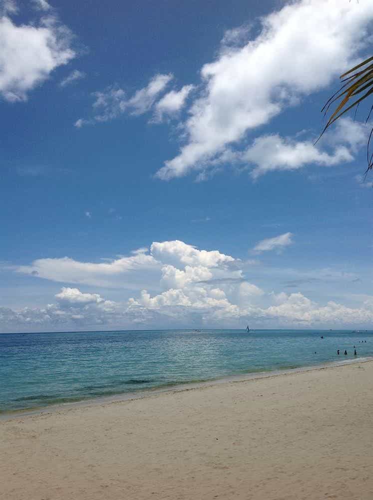 Boracay Golden Phoenix