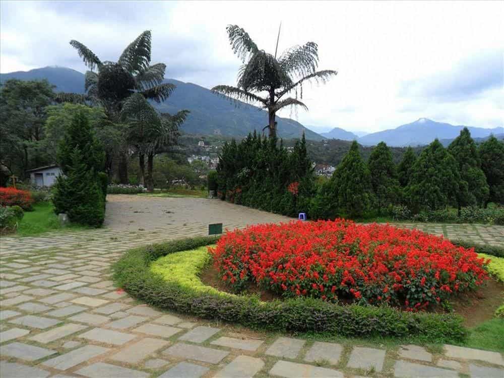 Cosiana Hotel Sapa Cosiana Hotel Sapa