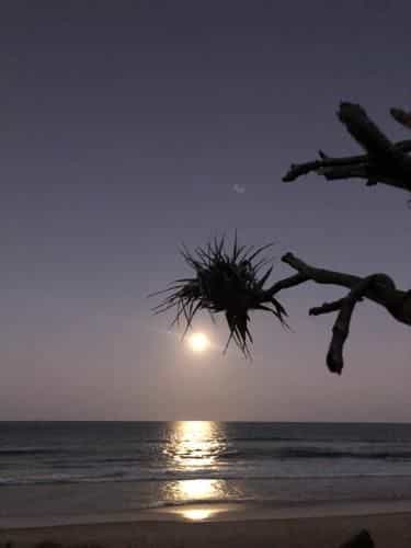 Horizons at Peregian