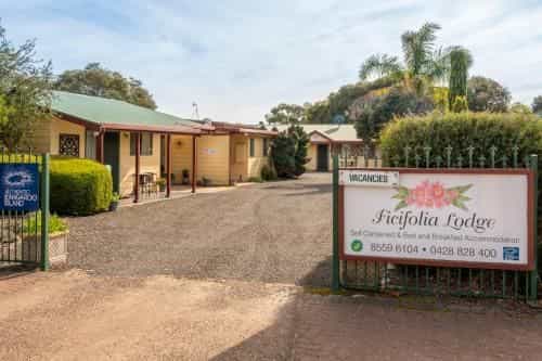 Ficifolia Lodge