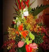 Tulip Inn Al Reef