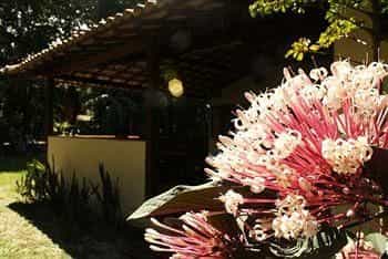 Pousada Samambaia