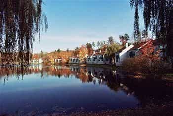 Fernwood Resort