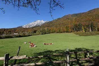 Hotel Garni Gablerhof