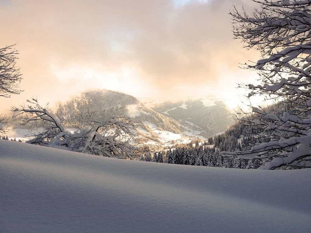 Chalet la Ferme des Petites Frasses
