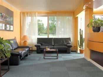 Brit Hotel du Parc Rive Gauche