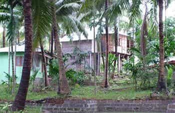 Palm Grove Eco Resort