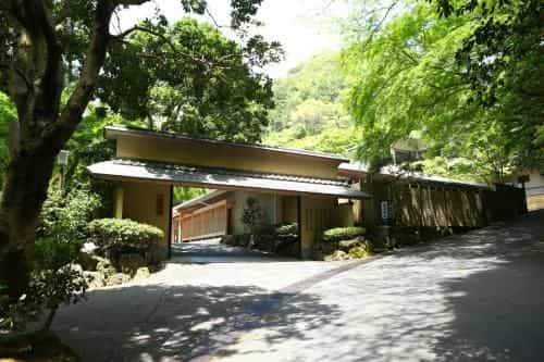 Oku-Yugawara Tsubaki