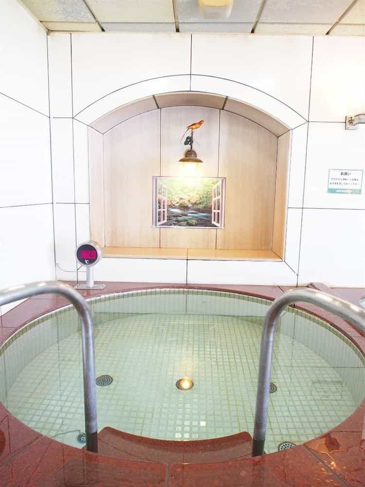 Capsule and Sauna New Century