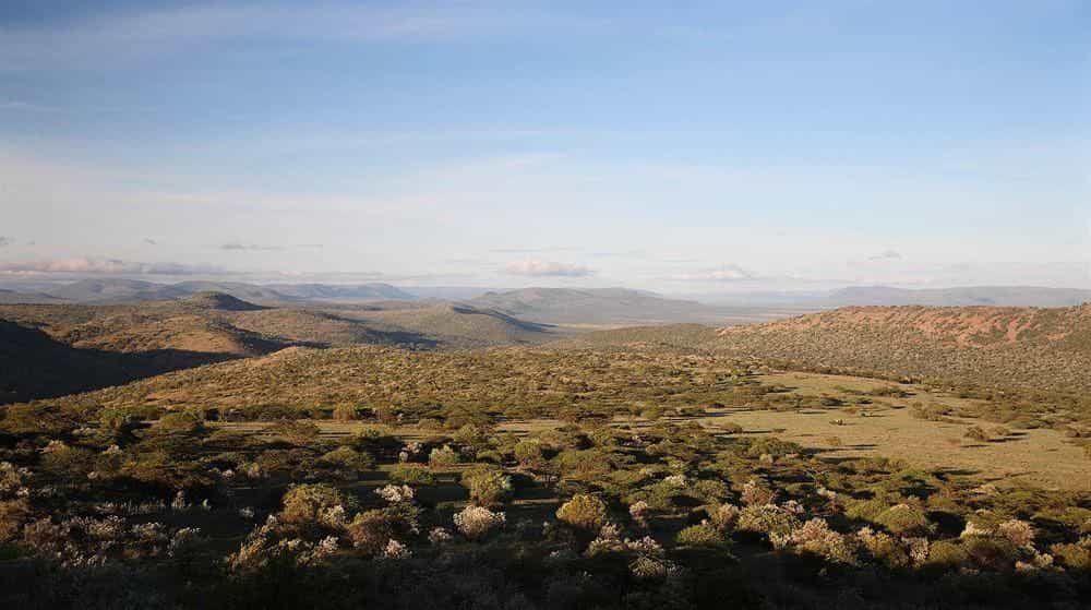 Olarro