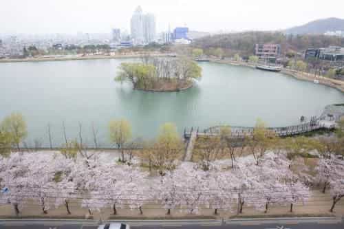 Hotel Susung Hotel Susung