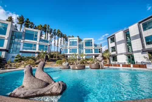 Donnaekohill Resort