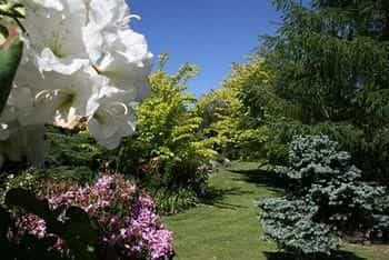 Kauri Point Homestay