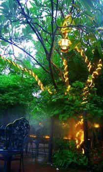 ไรเดอร์ รีสอร์ท