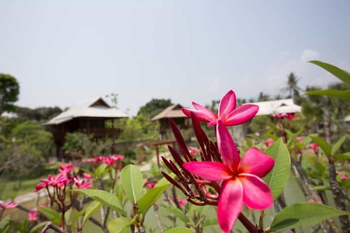 Maerim Country Home Resort