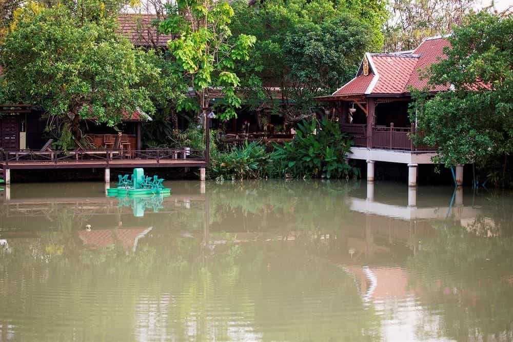 Nirvana Chiang Mai
