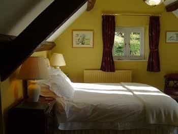 Eastwrey Barton - Guest house