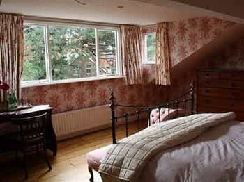 Evelyn's B&B Evelyn's B&B