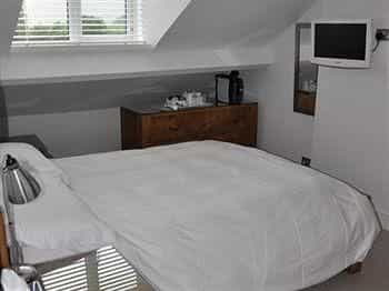 Rooms36