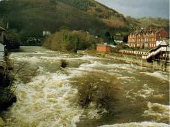 Cambrian Guest House