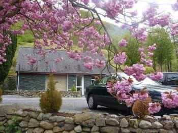 Greenbank Country House