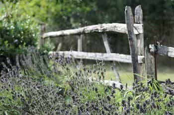 Elvey Farm
