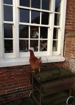 Buslingthorpe Manor B&B Buslingthorpe Manor B&B