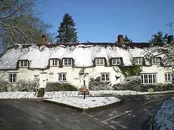The Brace of Pheasants - Inn The Brace of Pheasants - Inn