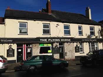 Flying Horse Flying Horse