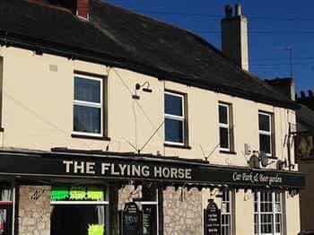 Flying Horse Flying Horse