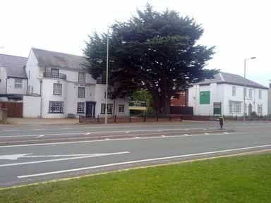 CEDAR TREE HOTEL CEDAR TREE HOTEL