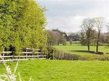 Two Acres