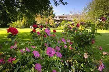 Le Friquet Country