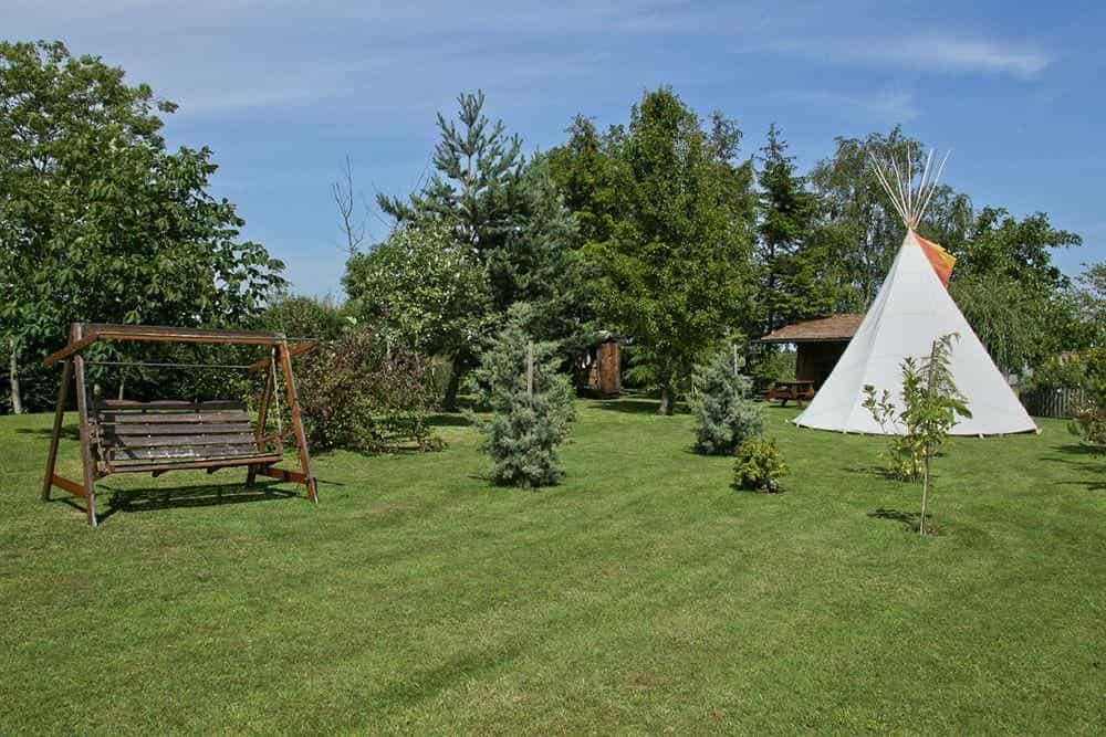Box Bush Cottage - B&B