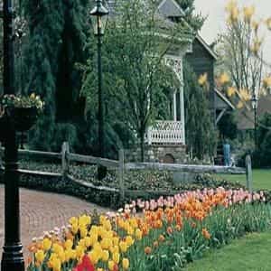 Golden Plough Inn at Peddler's Village