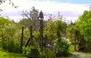 Fleming Jones Homestead B&B