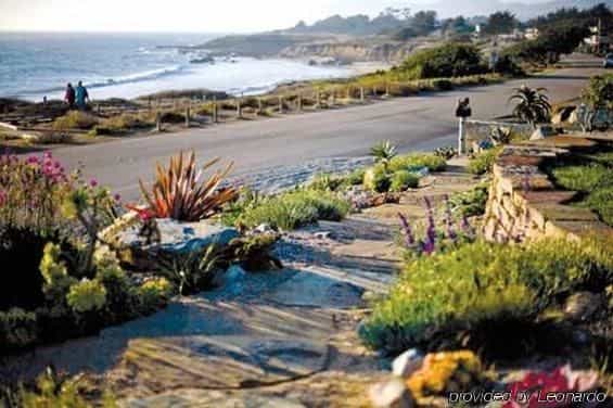 Cambria Shores Inn