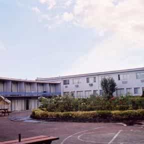 BUDGET INN ALBANY