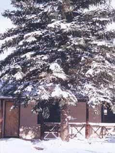 Laguna Vista Lodge Eagle Nest