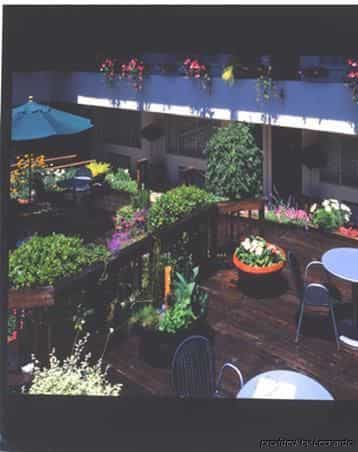Stanford Terrace Inn