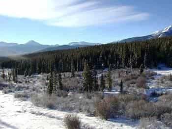 Silverthorne Townhome Nightly Rentals