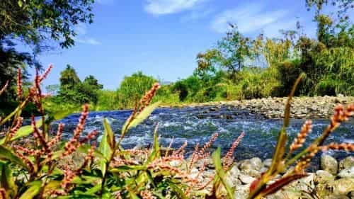 ภูปาย อาร์ท รีสอร์ท ภูปาย อาร์ท รีสอร์ท
