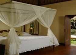 Gayatri Villa Gayatri Villa
