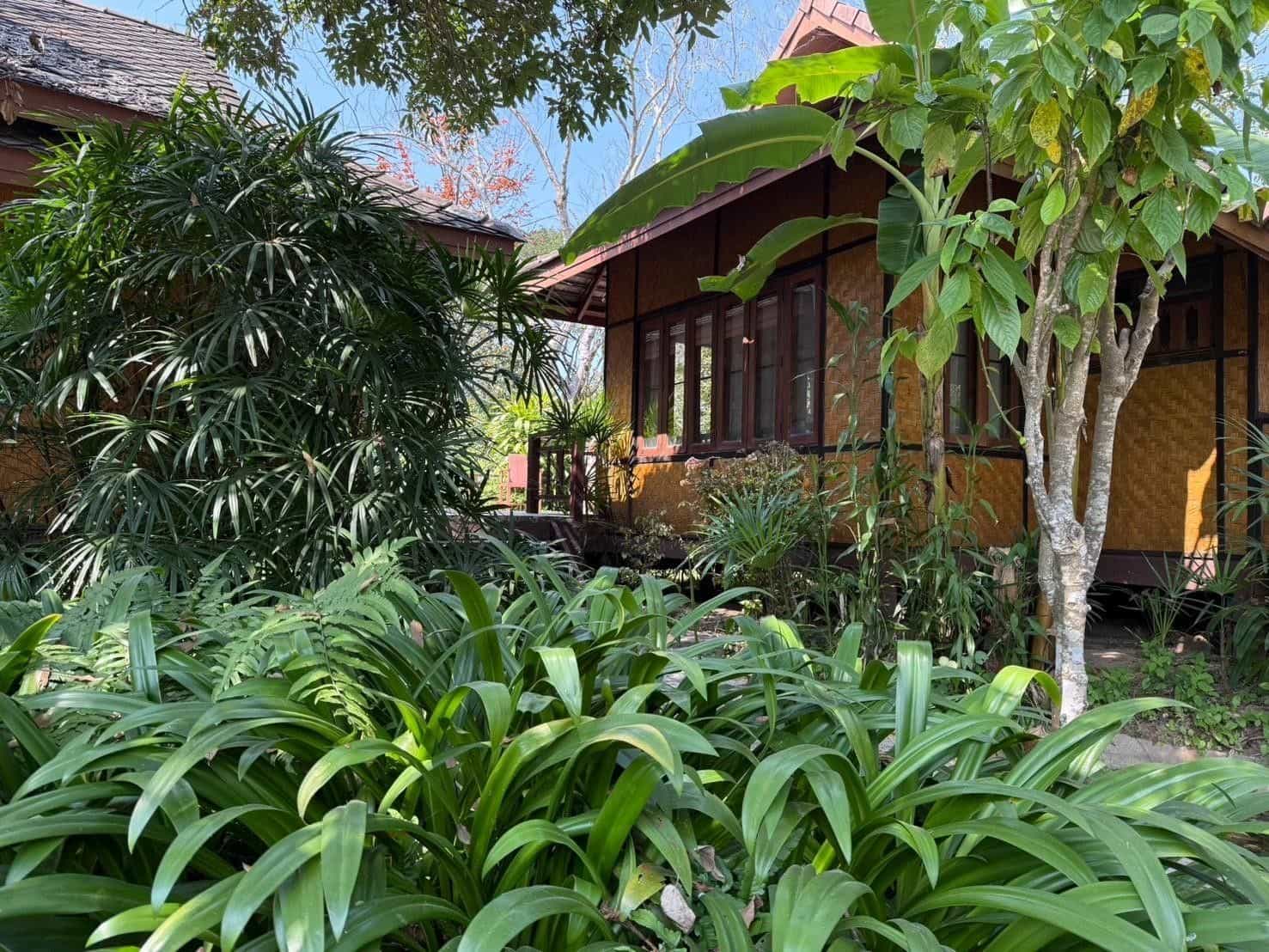 บ้านกระทิง ปาย รีสอร์ท บ้านกระทิง ปาย รีสอร์ท