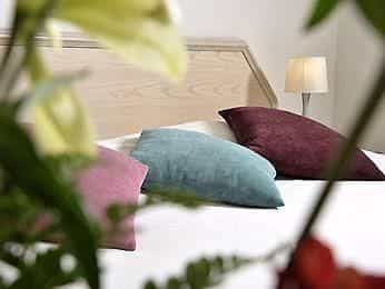 Mercure Saint Lary