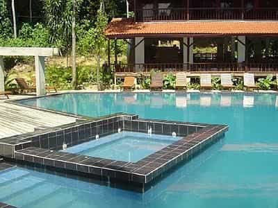 D Coconut Lagoon