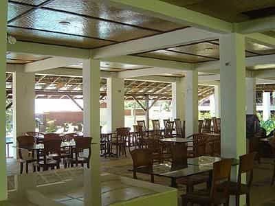 D Coconut Lagoon