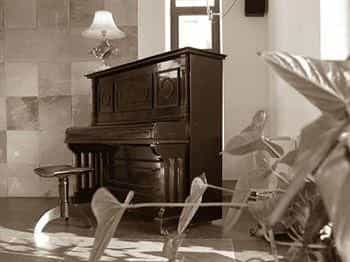 Alle Tamerici